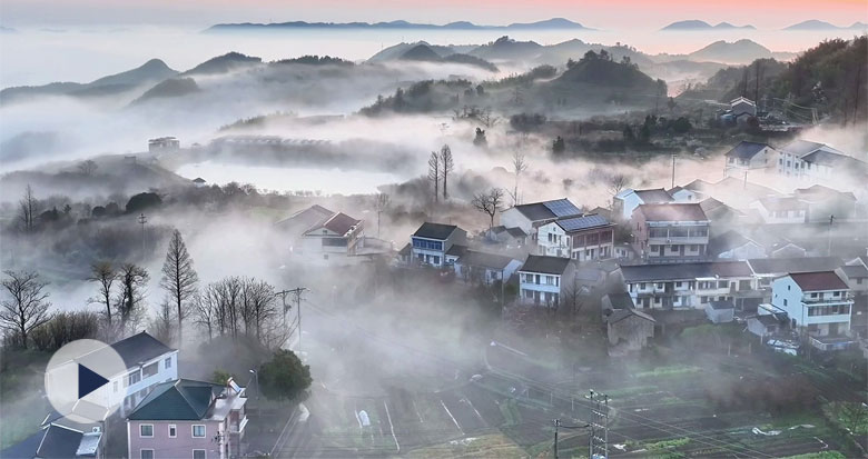 ��������ʱ ��Ҧ��¹�������ƺ����