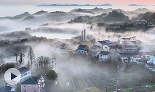 ��������ʱ ��Ҧ��¹�������ƺ����