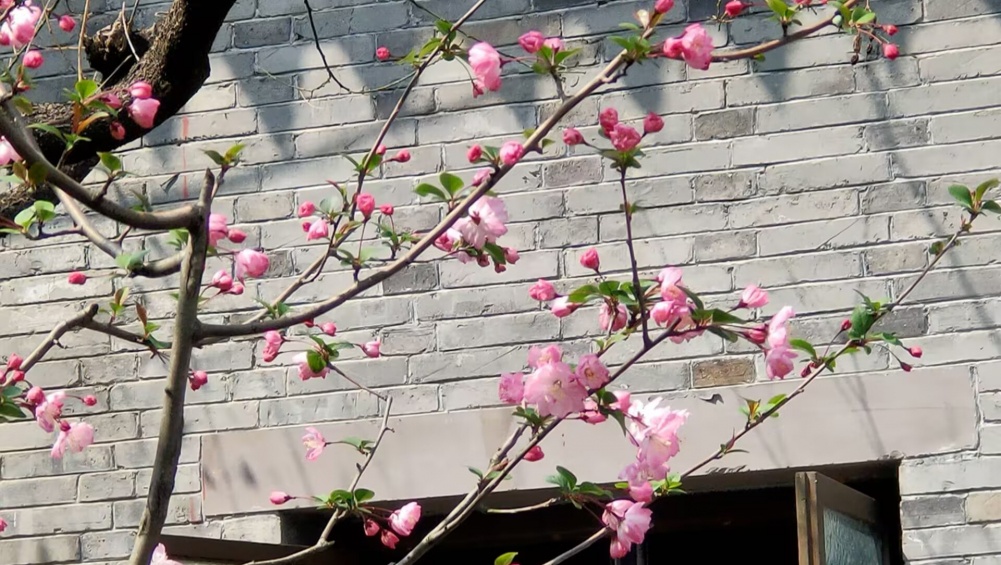 �º���԰ӣ��