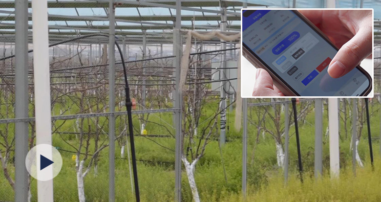 �ǻۼӳ� �����ֳ�����ζ