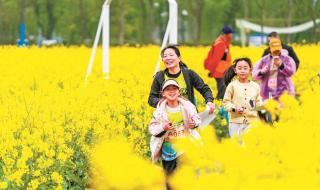 �ڴ���Ļ����б���