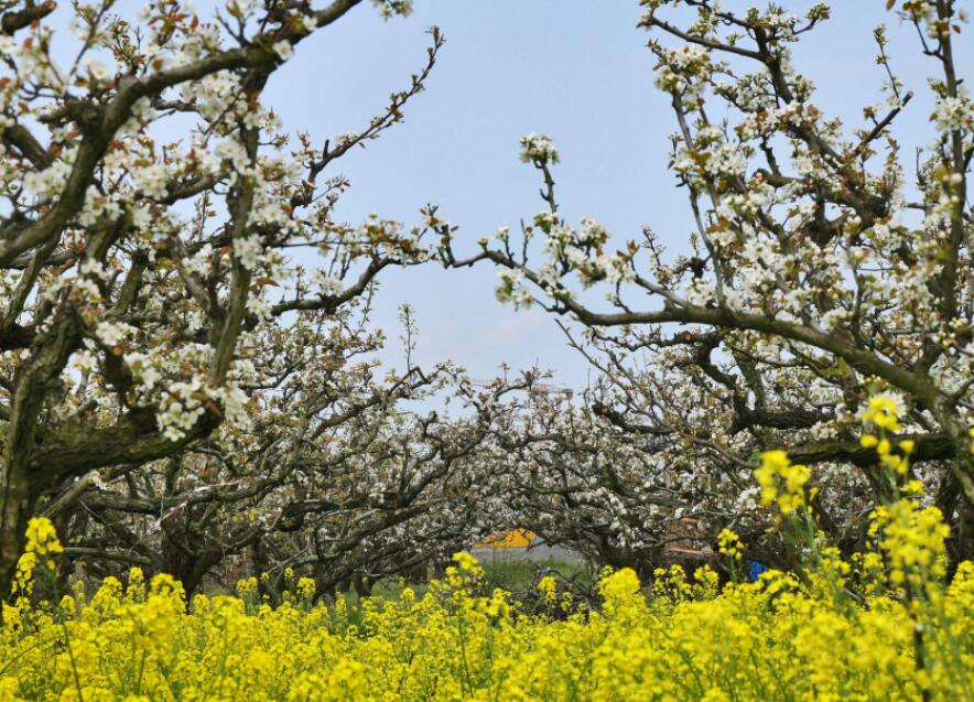 �ּ��滨��