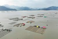 2000��β������硰���ҡ�������