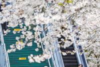 һ������������