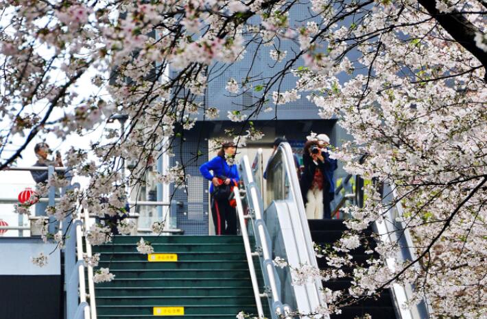 ҩ�н����ŵ���ӣ����������