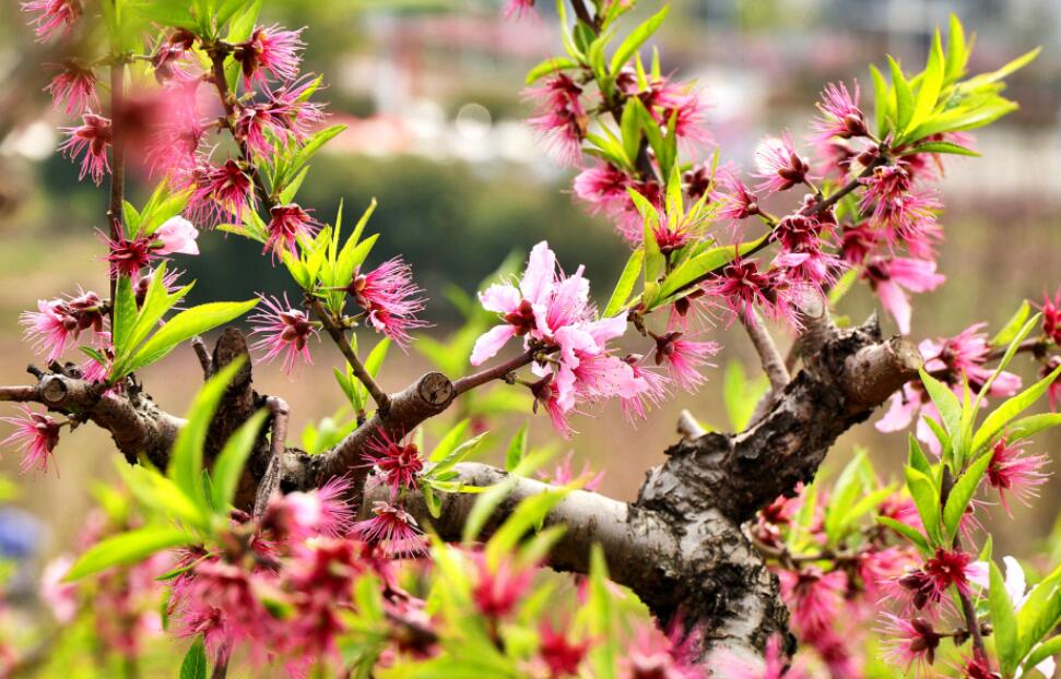 �������һ���