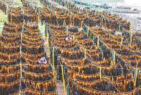 �������ϡ�ɹ������