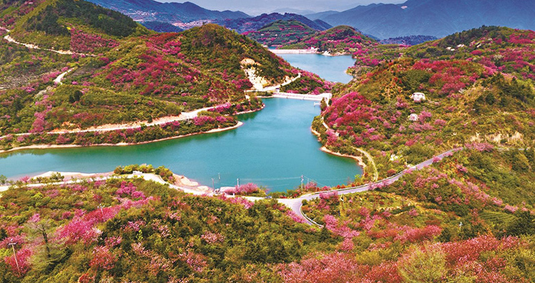 ǧ����ӣ���ơ�������ء�