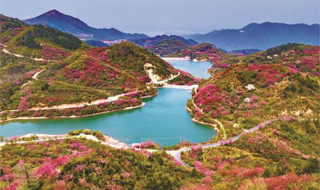 ǧ����ӣ���ơ�������ء�