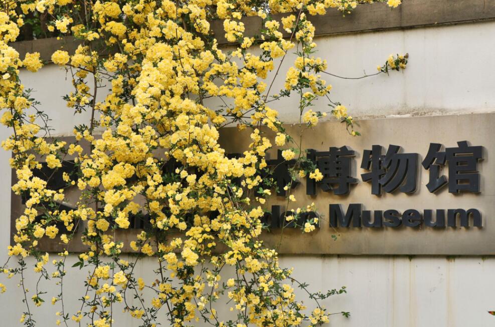 ľ�㻨����