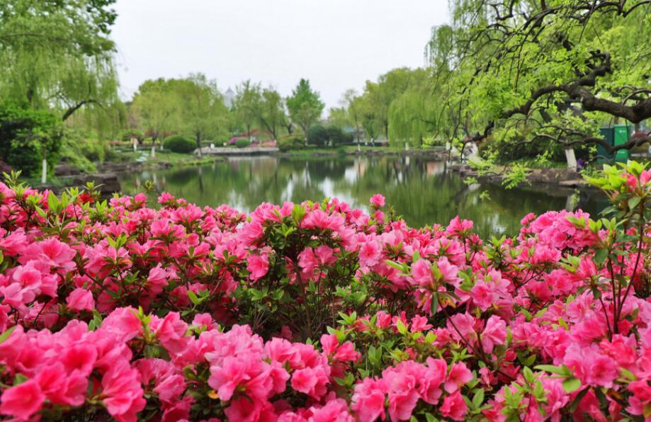 �º��ž�֯��