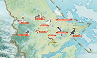 �������չ����ͼ������