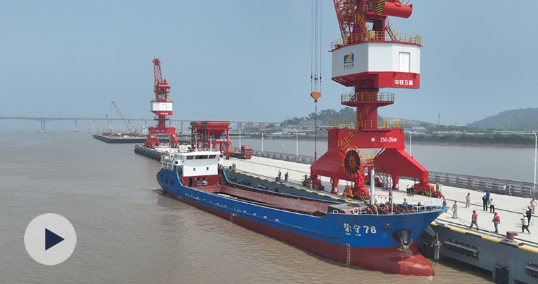 �����������׸���ģ��ɢ�ӻ���ͷͶ��