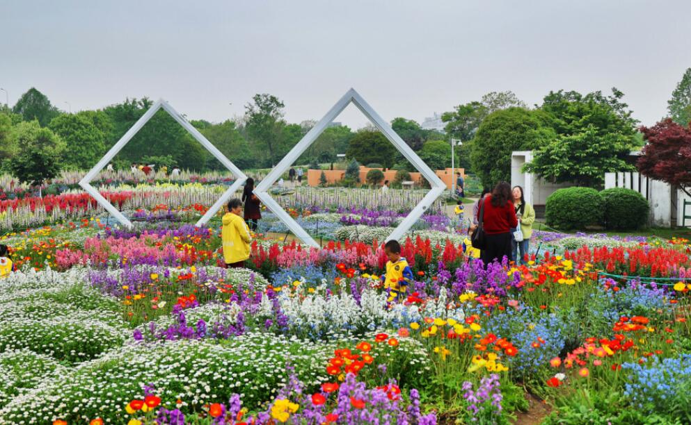 �����桰Ī�λ�԰��