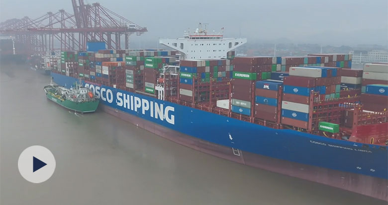 ������ͷ�����̡��� �㽭�׵��������