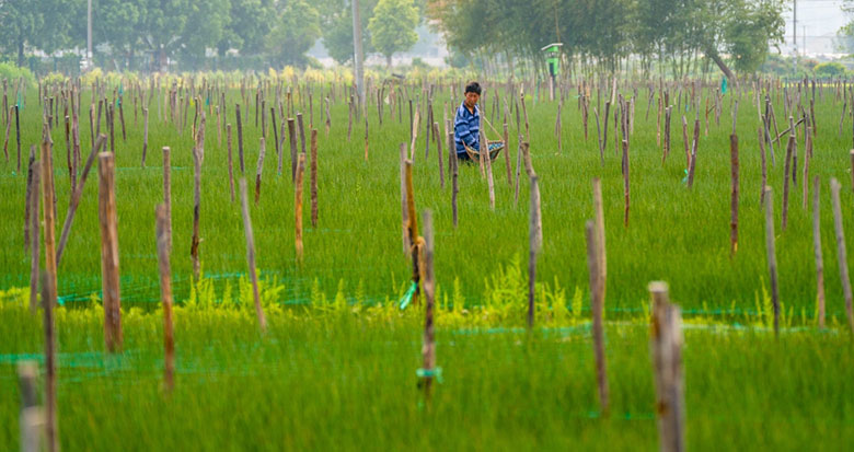 һ����һ���� �������������ũ���ǻ�