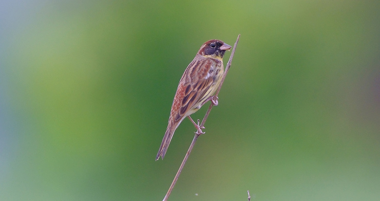 �����c������ķ����Ұ����������3����ֹ���������