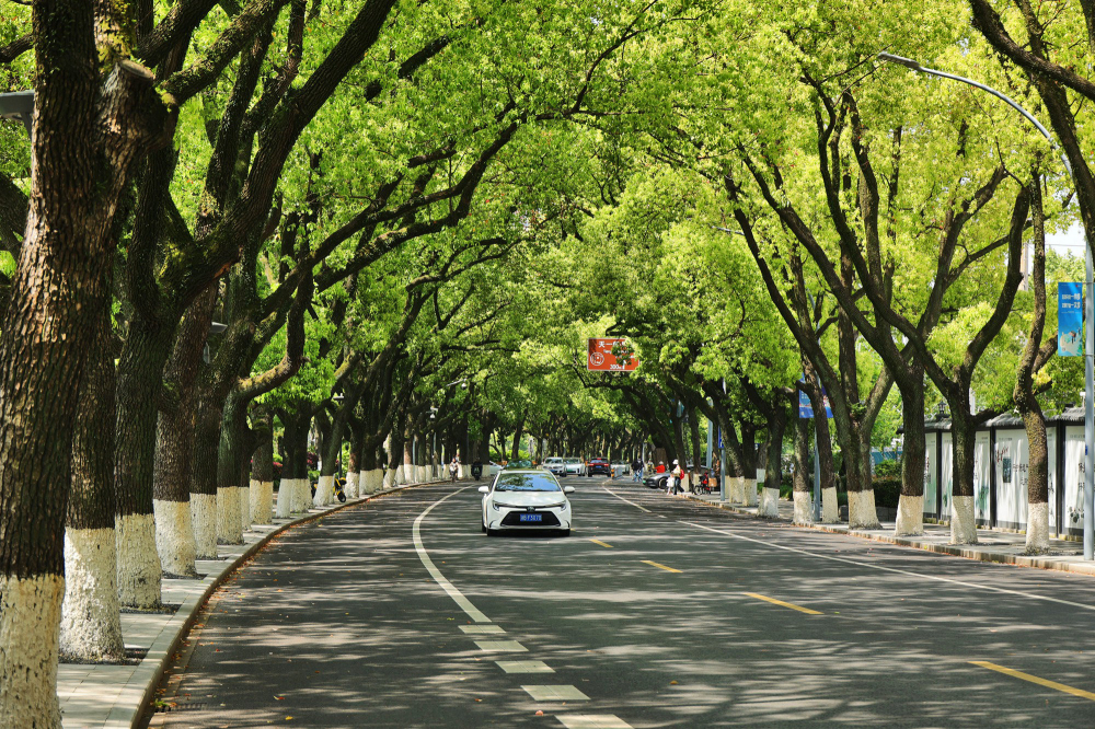 ��������·