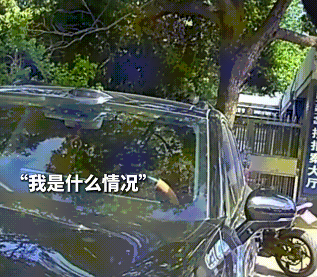 ΢����Ƶ2026-05-05_152044_301 00_00_02-00_00_07~3.gif