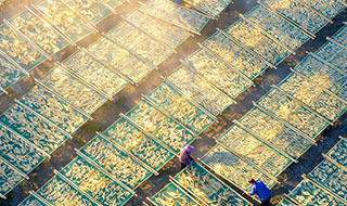�������з�� ��ɽ����ɹ��