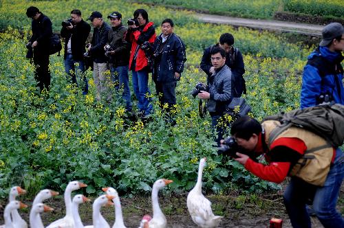 奉化大堰赏花摄影活动