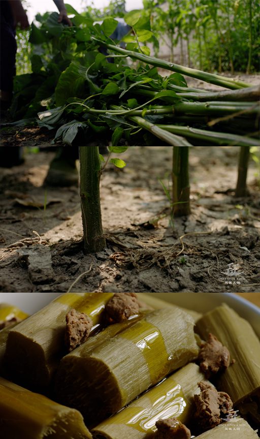 馋哭人的《风味人间》第四集明晚播出 阿拉宁波美食来了!