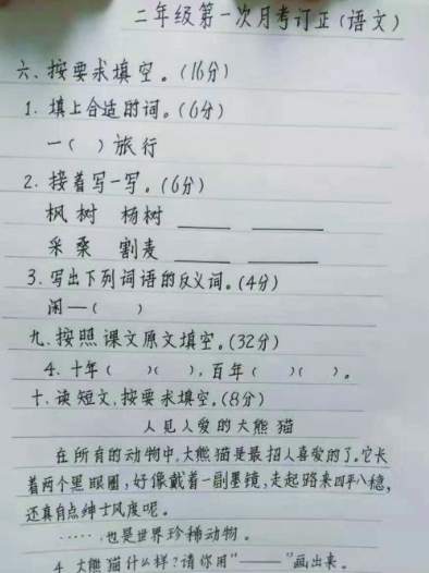 陪女儿写作业 这位妈妈"顺便"拿下了教师资格证