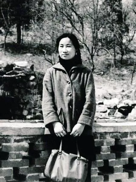 壮丽70年·大写浙江人 ▏屠呦呦