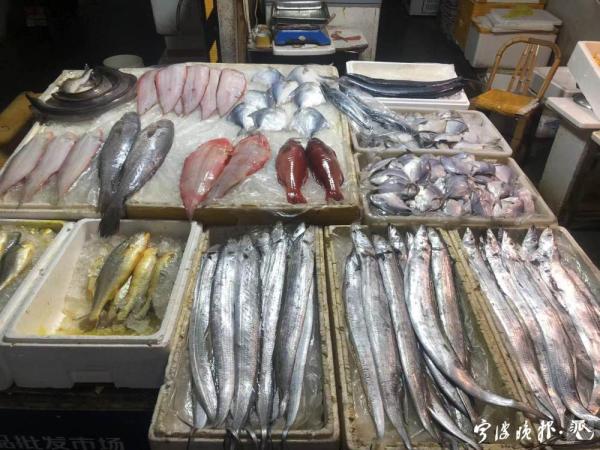 冰冻海鲜批发行业的风云变幻